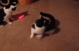 你身边有这么贱的人吗,你身边有没有很贱的人