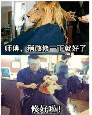 一时冲动剪了短发，还能补救吗？