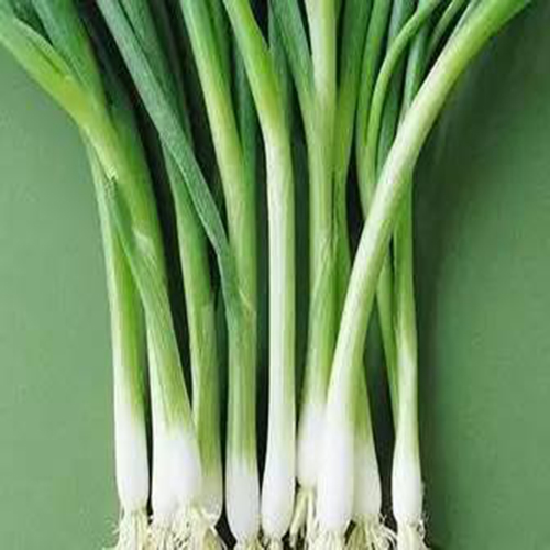 米饭加什么煮得松软,5个小窍门让你的米饭松软可口