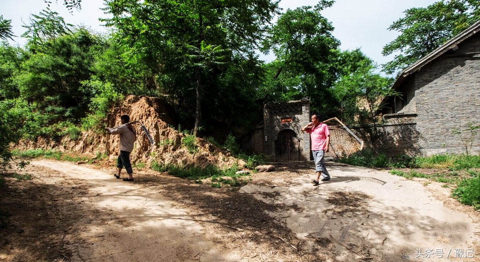 农家人的麦收神器——麦钐,堪比联合收割机!