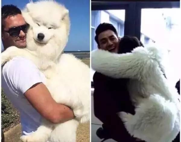 樊胜美工资在上海算高吗,欢乐颂2樊胜美的工作是什么