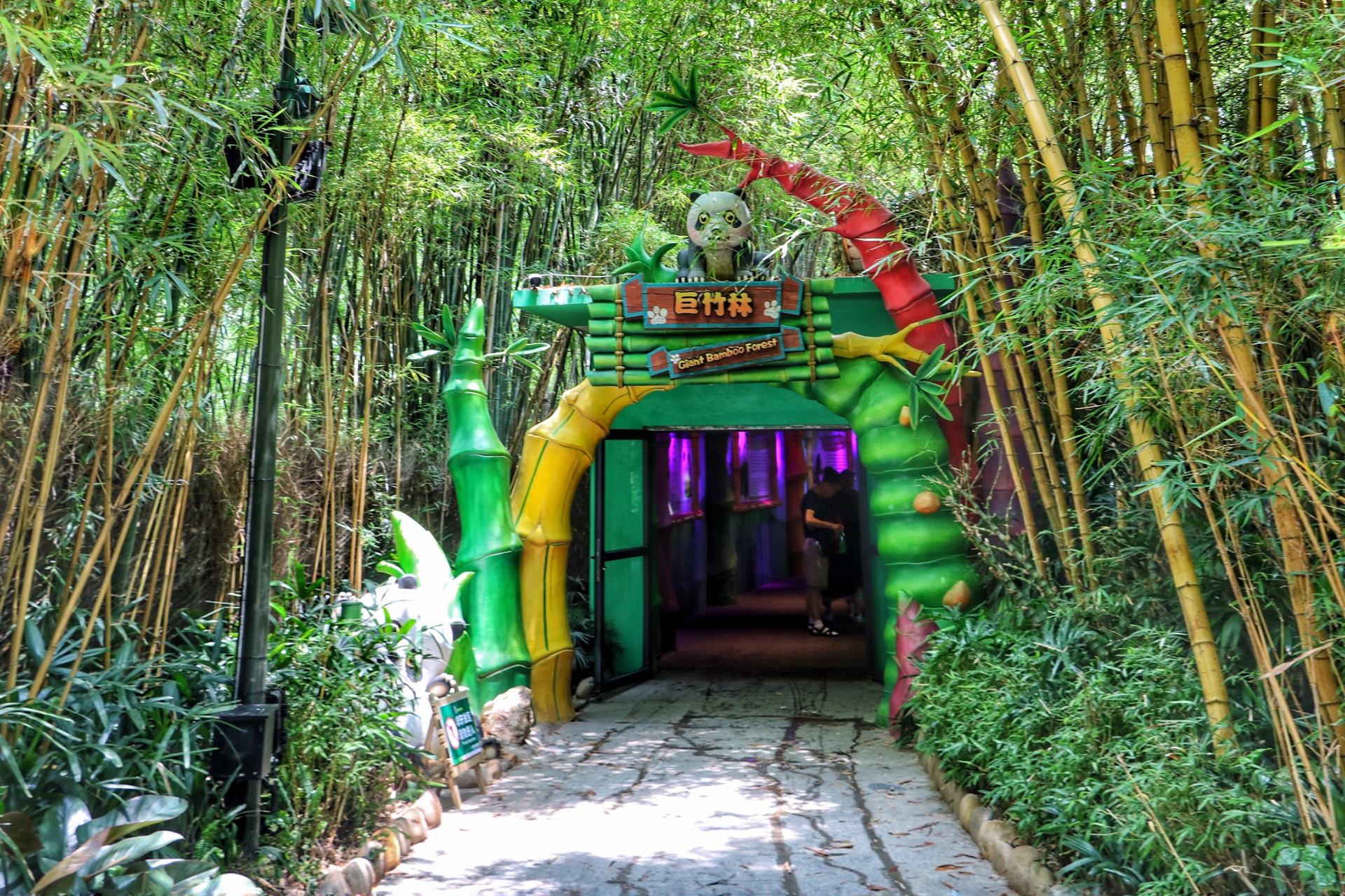 一月广州长隆野生动物园游玩攻略,长隆海洋王国不可错过