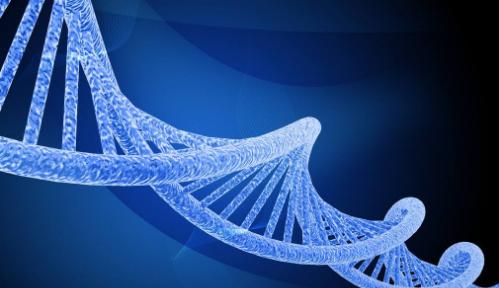 什么!你吃的不是香喷喷的白饭而是鬼稻?浙大科学家解密鬼稻