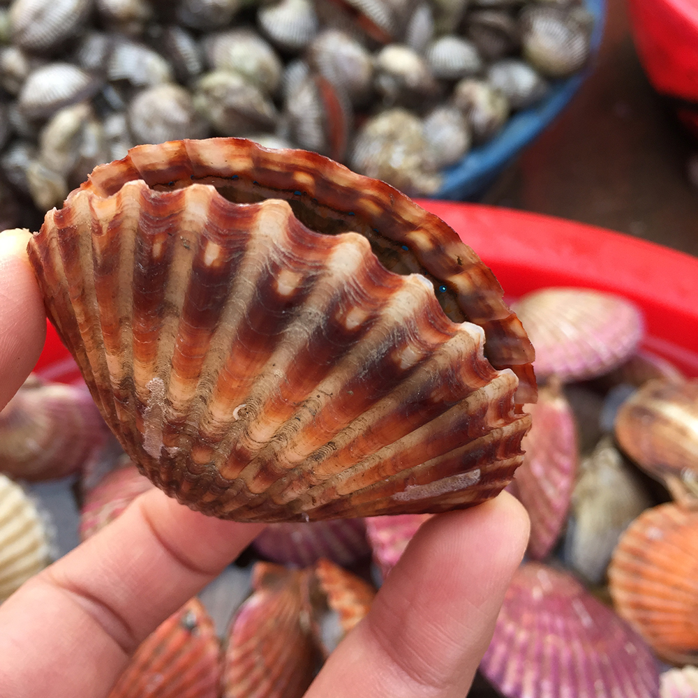 经典海鲜摄影图片,鲜活海鲜摄影技巧