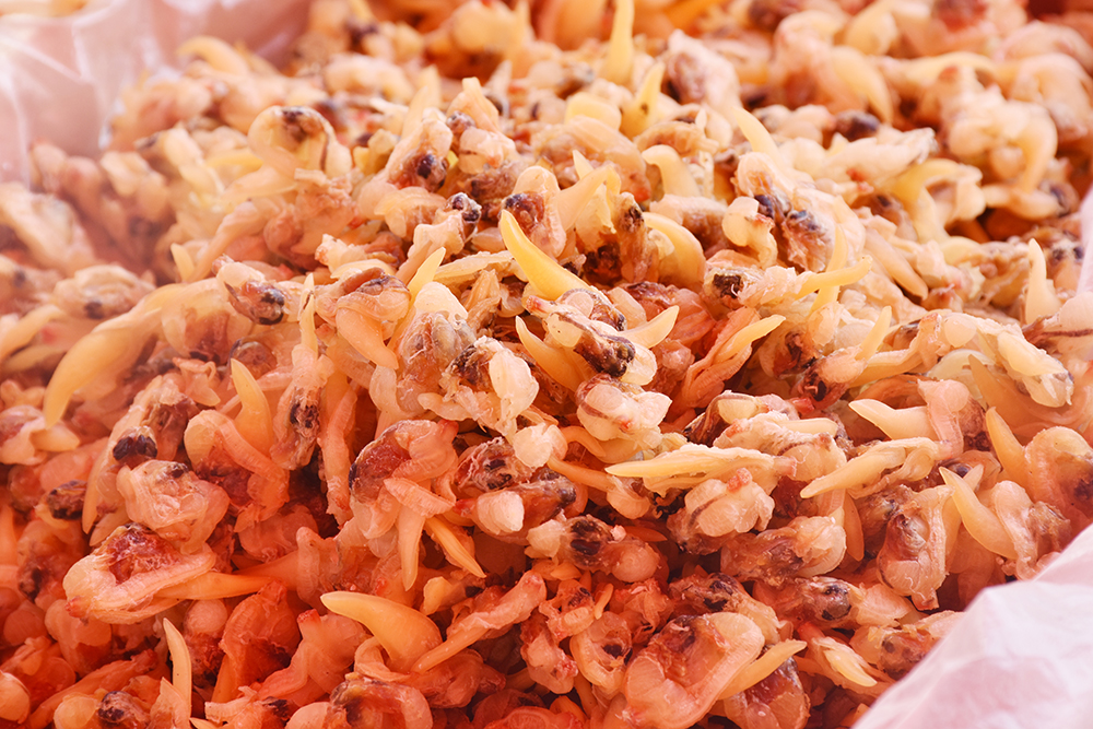 经典海鲜摄影图片,鲜活海鲜摄影技巧