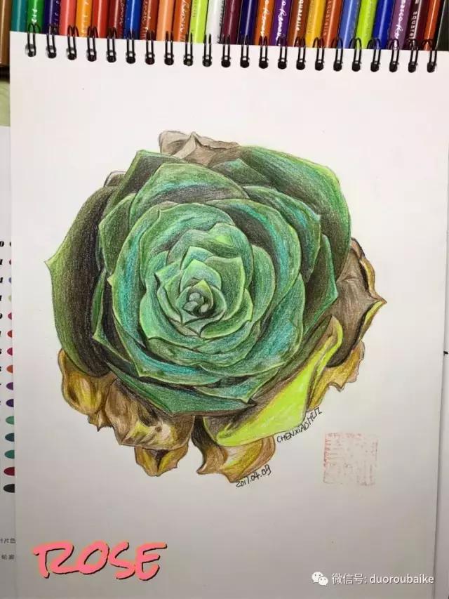 沉浸在花花草草的世界里,沉浸在动物和花海世界中