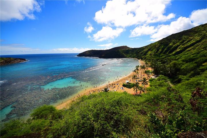骨灰级探险视频,水上运动场夏威夷maui岛浮潜