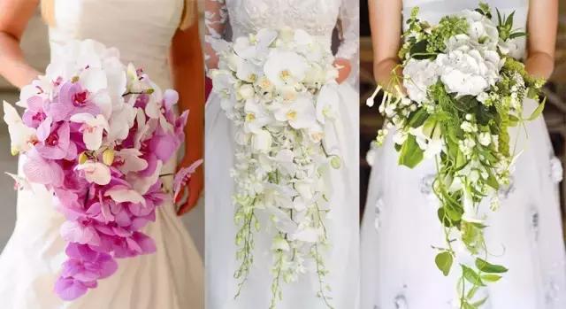 新娘手捧花20朵玫瑰代表什么,几支玫瑰花的寓意是什么呢