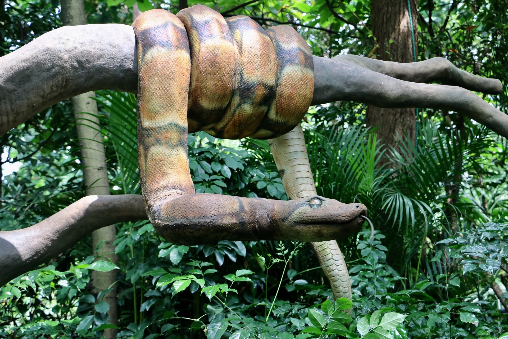 一月广州长隆野生动物园游玩攻略,长隆海洋王国不可错过