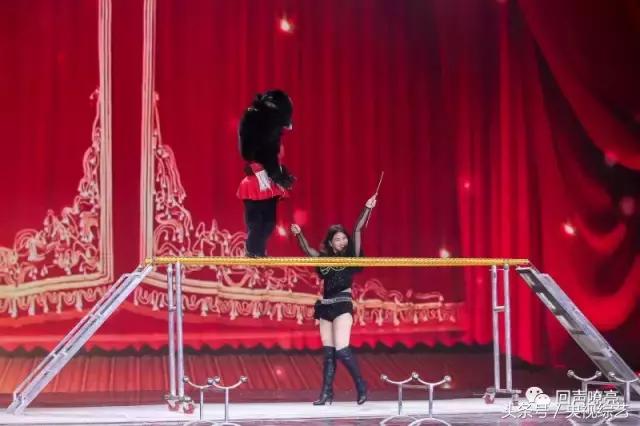 相约1998王菲那英精彩音乐汇,相约1998原唱王菲那英