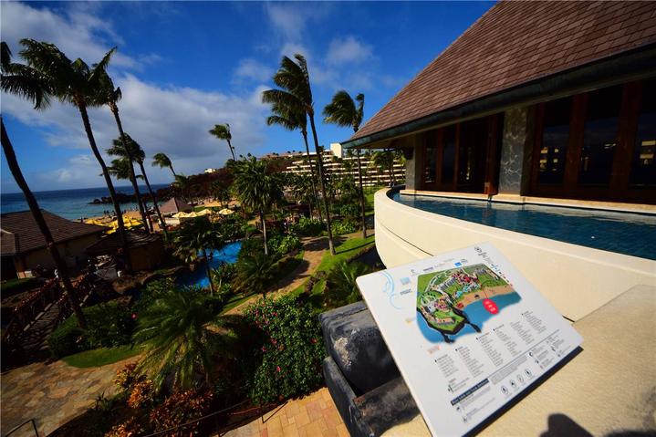 骨灰级探险视频,水上运动场夏威夷maui岛浮潜