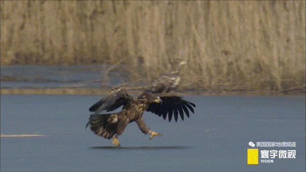 瀵板畤寰瑙ｆ瀽,瀵板畤寰