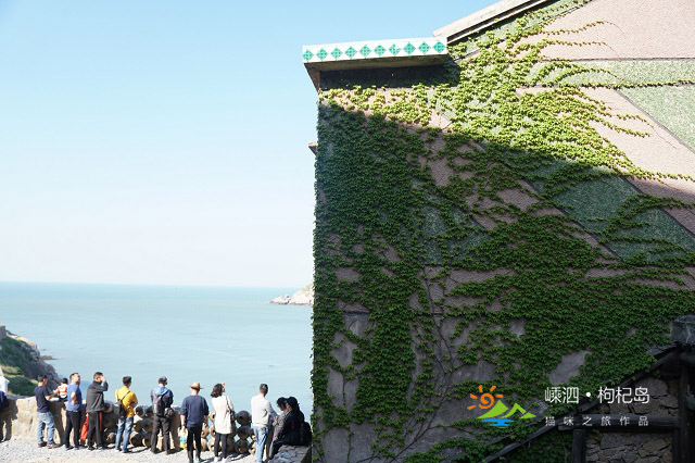 为了旅游凌晨四点出发,什么时间去枸杞岛最好