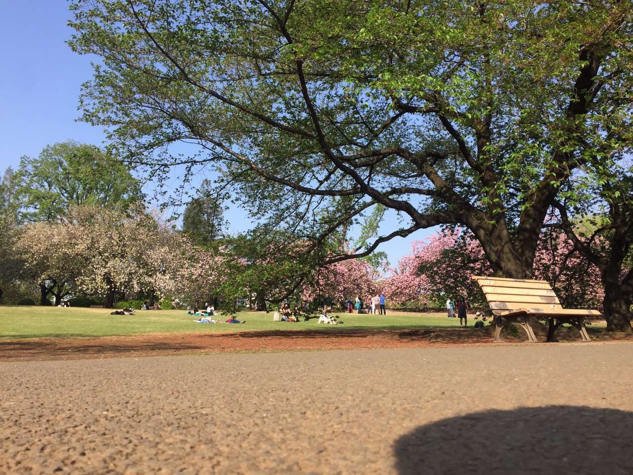 你和去日本旅行只差一张机票是一个国家更像是一个星球