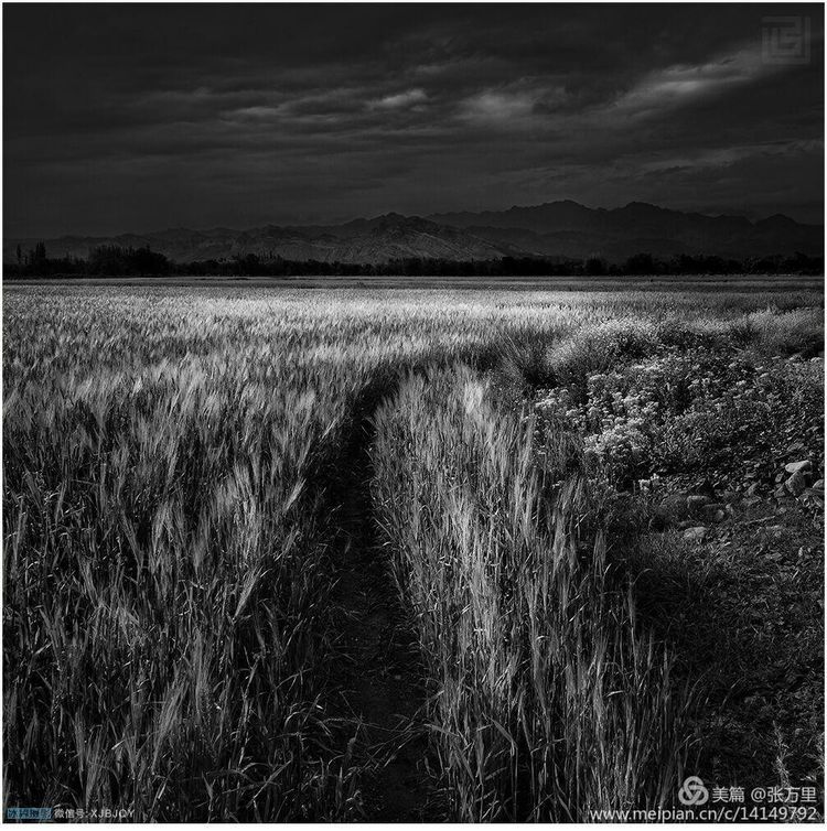 美丽*疆新**100张——美在雪山，美在草原，美在戈壁，美在心灵！