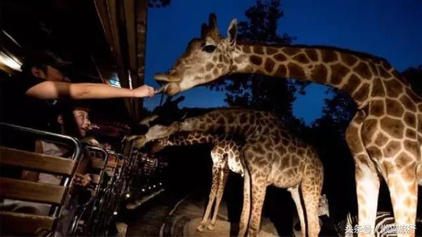 亲子游适合去泰国哪里,泰国普吉岛亲子游旅游攻略