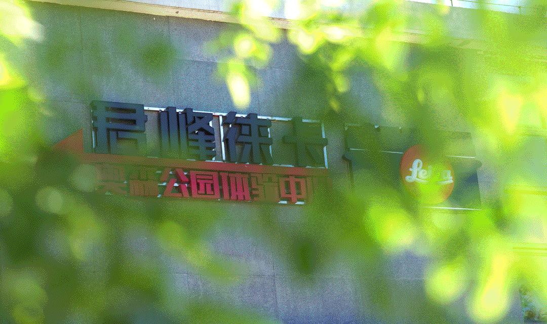 都说50mm是一生中必须拥有的镜头,但怎样才能用好它?