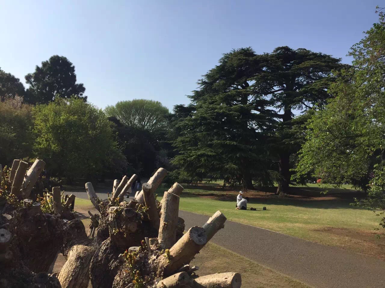 你和去日本旅行只差一张机票是一个国家更像是一个星球