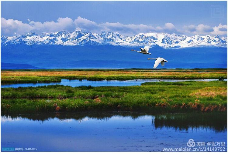 美丽*疆新**100张——美在雪山，美在草原，美在戈壁，美在心灵！