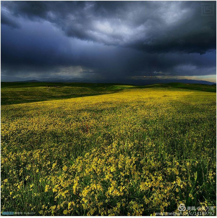 美丽*疆新**100张——美在雪山，美在草原，美在戈壁，美在心灵！