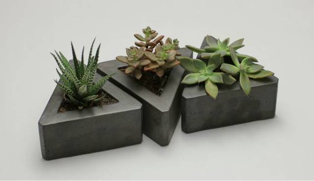 晒伤后的多肉能用芦荟修复吗,多肉从室内搬到室外被晒伤