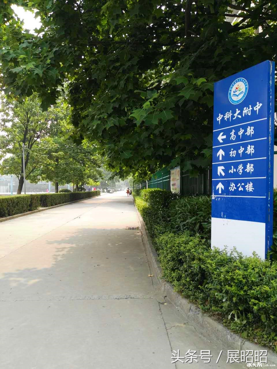 合肥中科大附属中学在哪,合肥中科大附属中学是公立学校吗