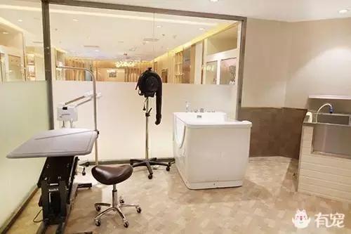 活得不如狗系列之，宠物酒店！