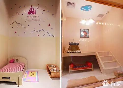 活得不如狗系列之，宠物酒店！