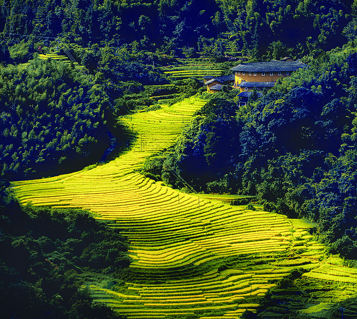 龙岩气候最好的地方,龙岩生态资源