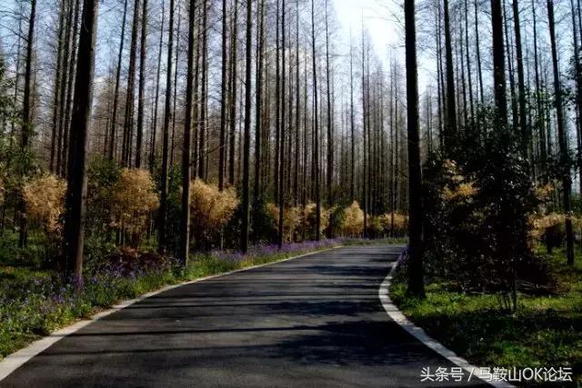 亚洲之最在哪,亚洲之最