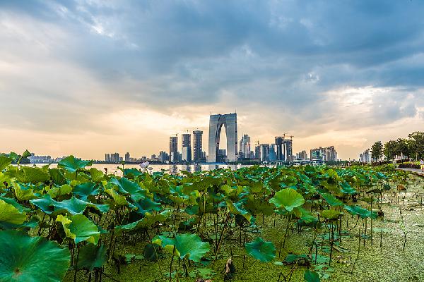 苏州周末活动推荐,苏州本周末