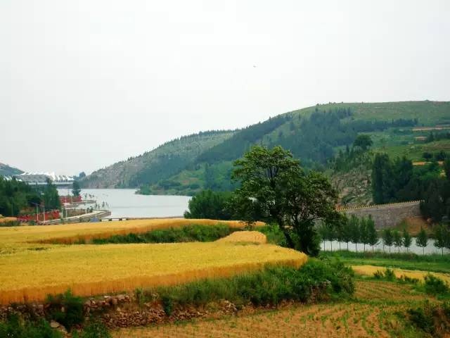 探寻山东古村落青岛8处古村落,青岛西海岸周边最美古村