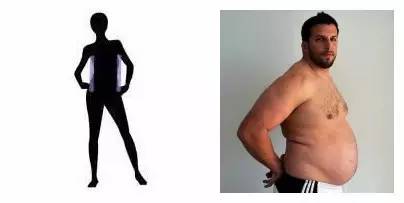 健身小体型和大体型区别,新手健身如何在两个月内改变体型