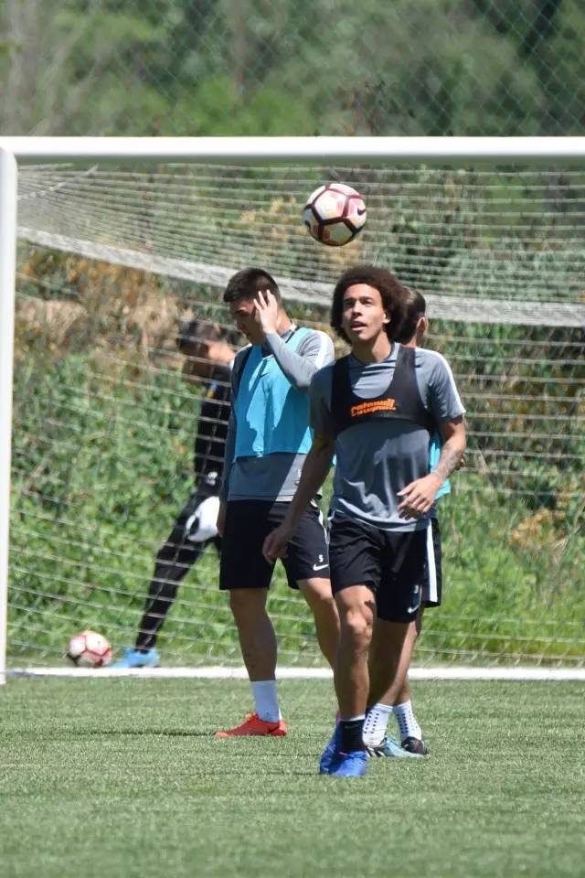 泰达对津门德比,泰达权健德比