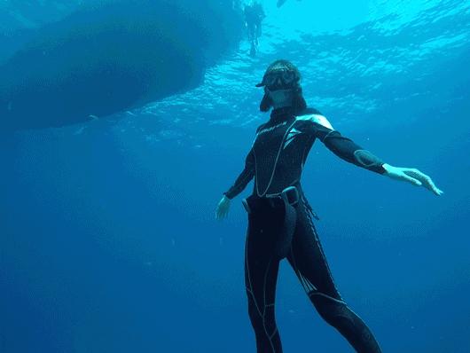 温雅｜去世界的另一端看看！涛岛游