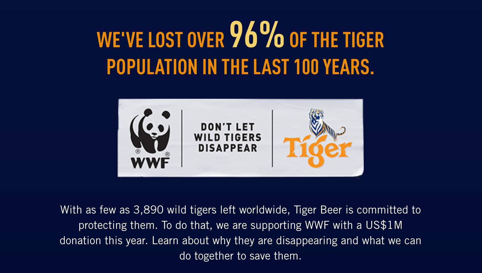 虎牌为什么没有304标识,老虎牌子啤酒