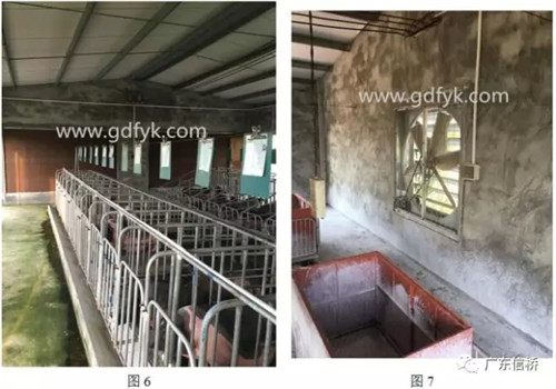 中暑造成死亡原因,中暑的表现和怀孕初期症状