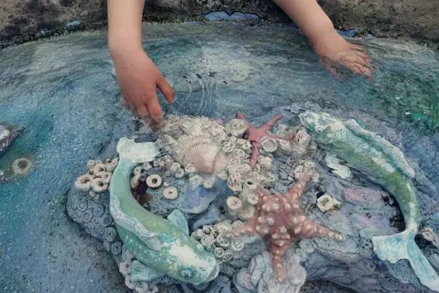 迪士尼该去还是不去,迪士尼真有必要去吗