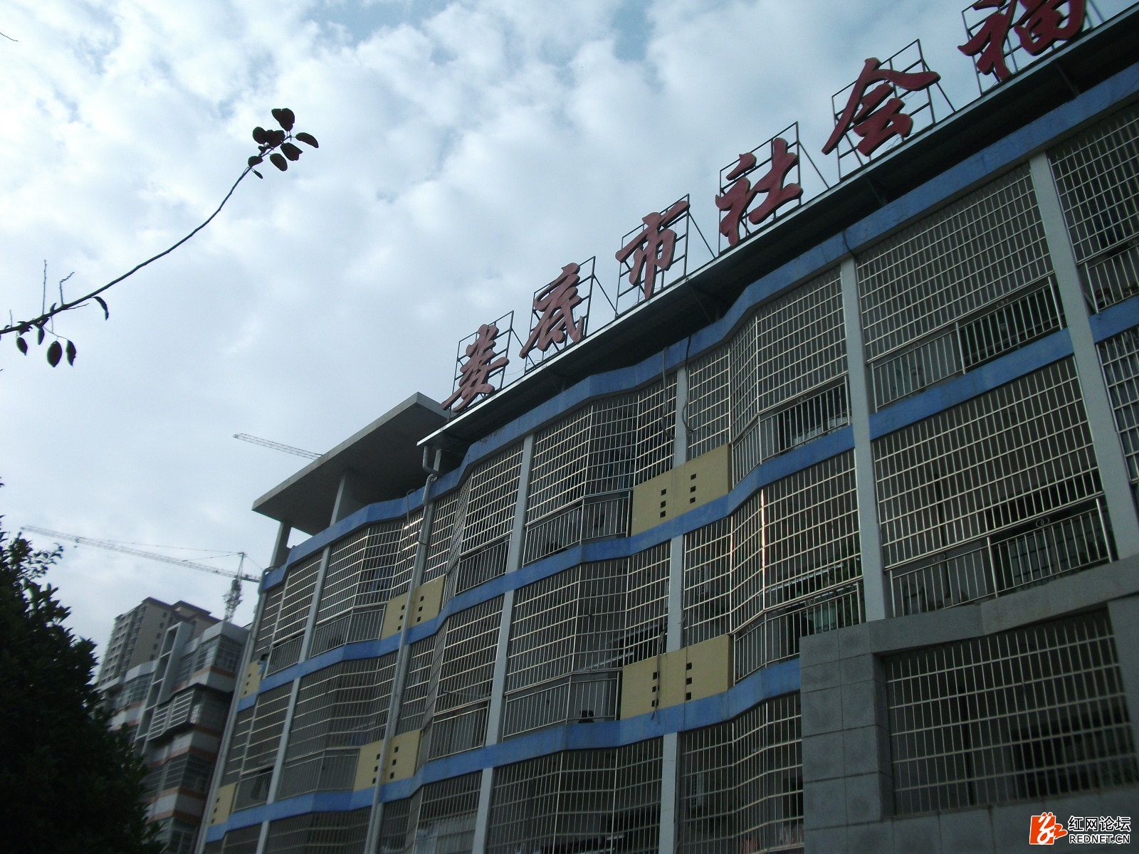 怎样学会思考,怎样学会思考和顿悟人生