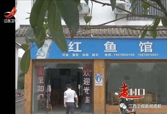 一种神奇的鱼,一种很神奇的鱼