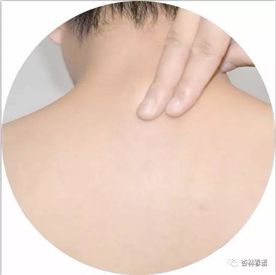 中医养生保健专业的技能,中医按摩养生健康知识大全