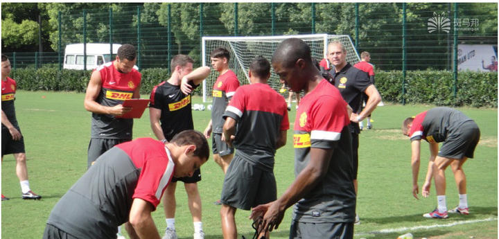 上海哪里有足球场草坪,上海足球场草坪哪家好