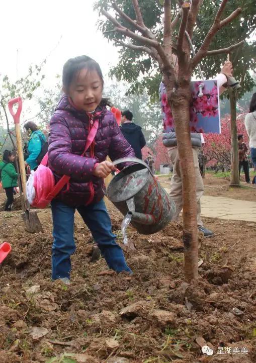 七星岩景区桃花,肇庆七星岩的桃花是什么颜色的