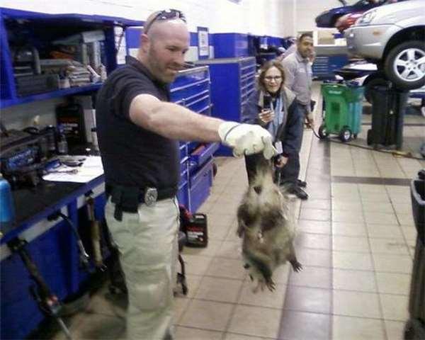 开不到5千公里的奥迪车出现异音,开回原厂维修时令人哭笑不得