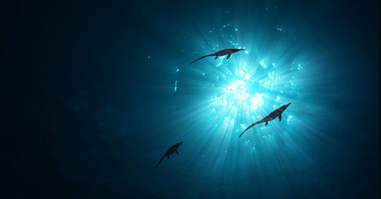 美人鱼你是个好人表情包,美人鱼你真的看懂了吗