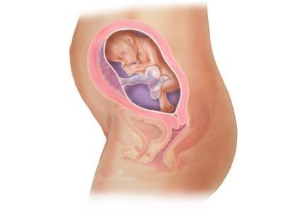 怀孕宝宝听见爸爸的声音,23天新生儿听懂爸爸说话的小视频