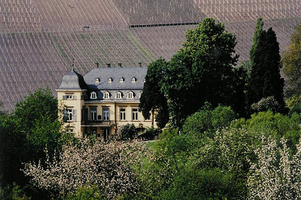 世界最贵甜白葡萄酒,德国十大最贵红酒