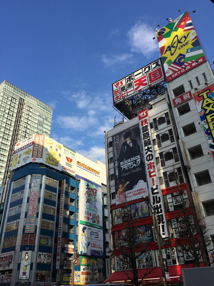 日本的冬日暖阳,日本的冰雪世界