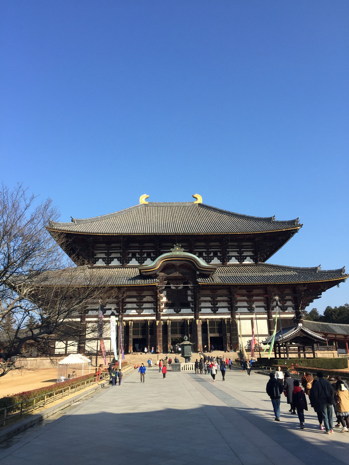 日本的冬日暖阳,日本的冰雪世界
