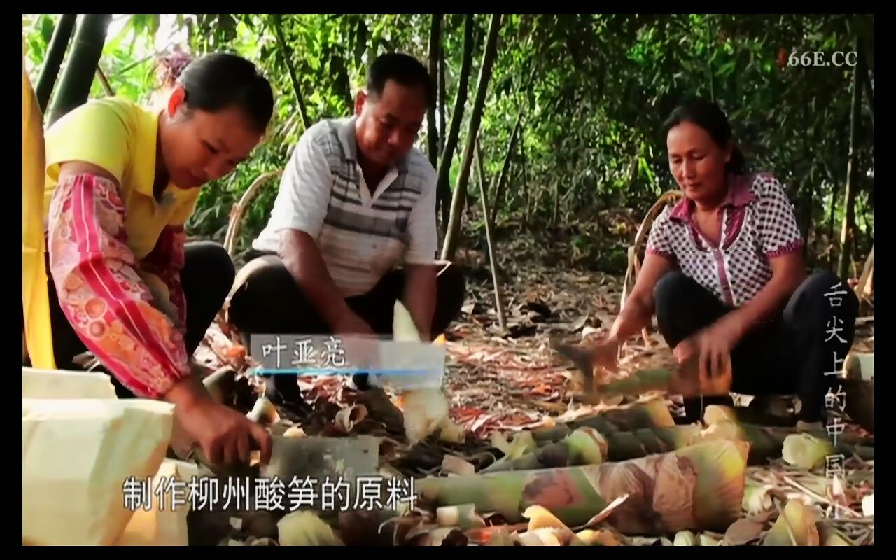 芝杜z1000pro和开博尔q10哪个好,开博尔8k评测